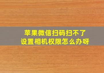 苹果微信扫码扫不了设置相机权限怎么办呀