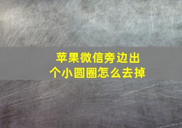 苹果微信旁边出个小圆圈怎么去掉