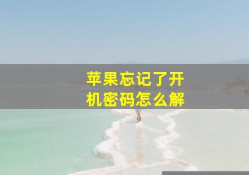 苹果忘记了开机密码怎么解