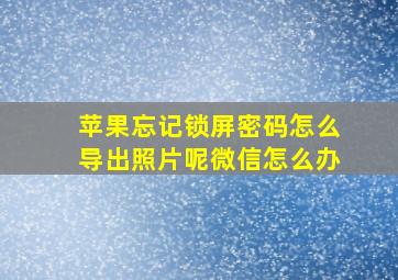 苹果忘记锁屏密码怎么导出照片呢微信怎么办