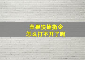 苹果快捷指令怎么打不开了呢