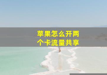 苹果怎么开两个卡流量共享