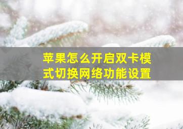 苹果怎么开启双卡模式切换网络功能设置