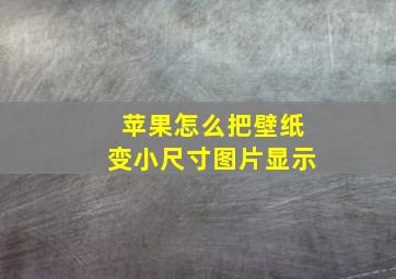 苹果怎么把壁纸变小尺寸图片显示