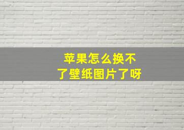 苹果怎么换不了壁纸图片了呀