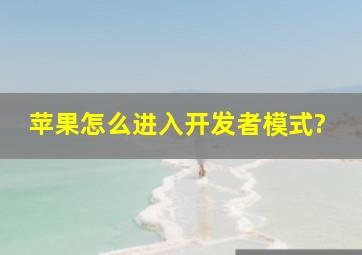 苹果怎么进入开发者模式?