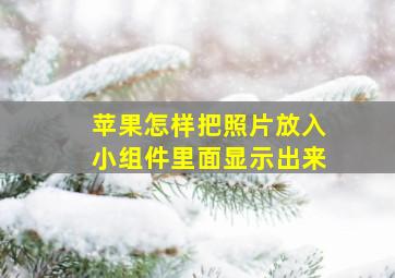 苹果怎样把照片放入小组件里面显示出来