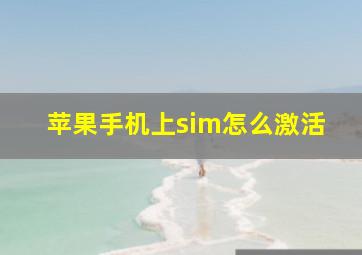 苹果手机上sim怎么激活