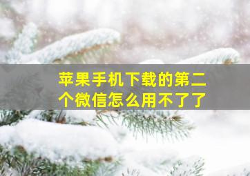 苹果手机下载的第二个微信怎么用不了了