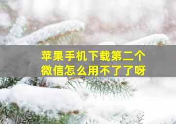 苹果手机下载第二个微信怎么用不了了呀