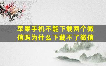 苹果手机不能下载两个微信吗为什么下载不了微信