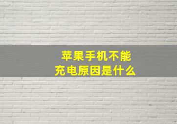 苹果手机不能充电原因是什么