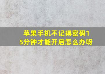 苹果手机不记得密码15分钟才能开启怎么办呀