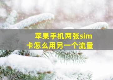 苹果手机两张sim卡怎么用另一个流量