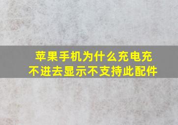 苹果手机为什么充电充不进去显示不支持此配件