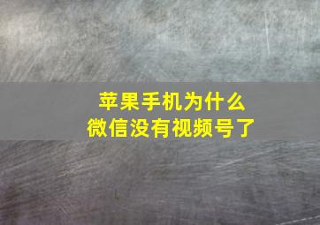 苹果手机为什么微信没有视频号了