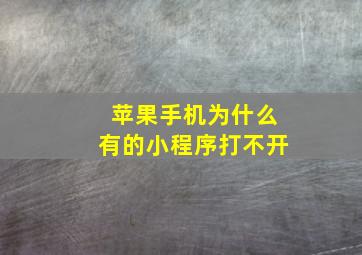 苹果手机为什么有的小程序打不开