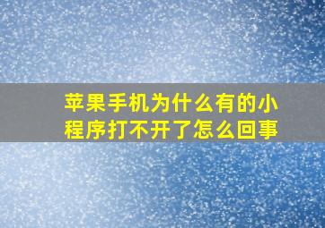 苹果手机为什么有的小程序打不开了怎么回事