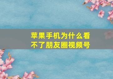 苹果手机为什么看不了朋友圈视频号