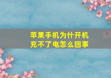 苹果手机为什开机充不了电怎么回事