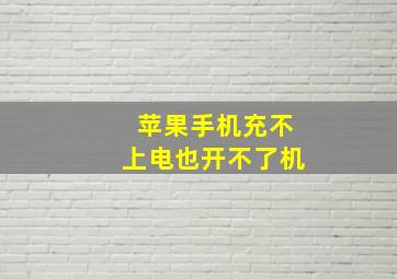 苹果手机充不上电也开不了机