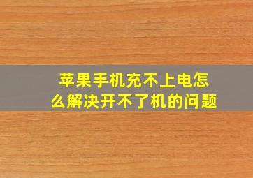 苹果手机充不上电怎么解决开不了机的问题