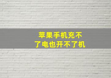 苹果手机充不了电也开不了机