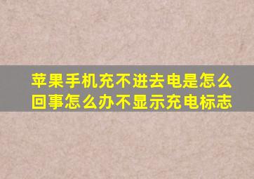 苹果手机充不进去电是怎么回事怎么办不显示充电标志