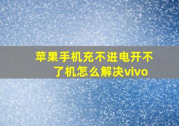 苹果手机充不进电开不了机怎么解决vivo