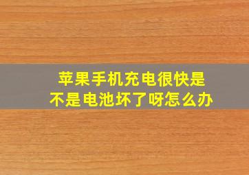 苹果手机充电很快是不是电池坏了呀怎么办