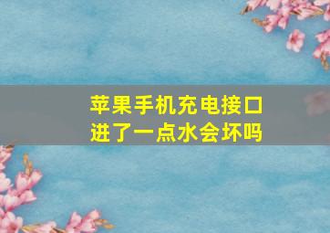 苹果手机充电接口进了一点水会坏吗