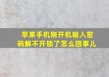 苹果手机刚开机输入密码解不开锁了怎么回事儿