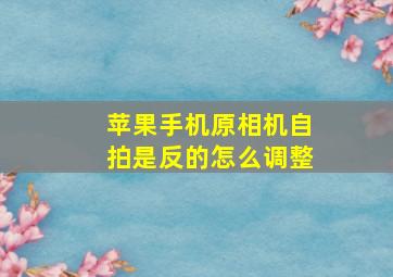 苹果手机原相机自拍是反的怎么调整