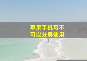 苹果手机可不可以分屏使用