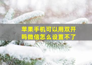 苹果手机可以用双开吗微信怎么设置不了