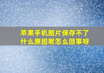 苹果手机图片保存不了什么原因呢怎么回事呀