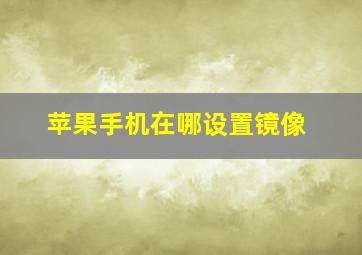 苹果手机在哪设置镜像