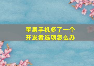 苹果手机多了一个开发者选项怎么办