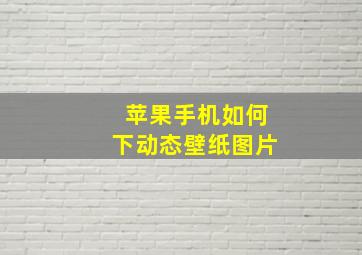 苹果手机如何下动态壁纸图片