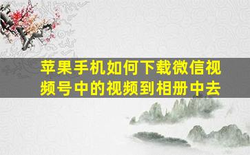 苹果手机如何下载微信视频号中的视频到相册中去