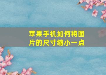 苹果手机如何将图片的尺寸缩小一点