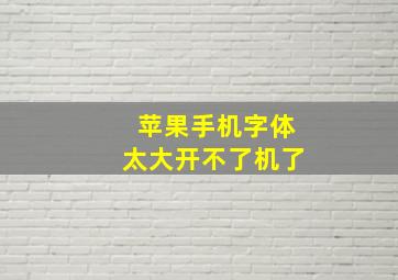 苹果手机字体太大开不了机了