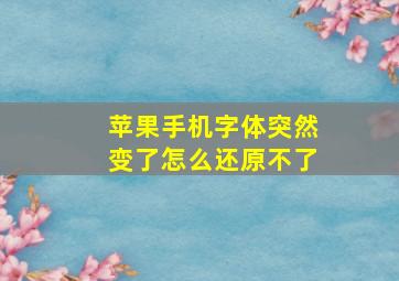 苹果手机字体突然变了怎么还原不了