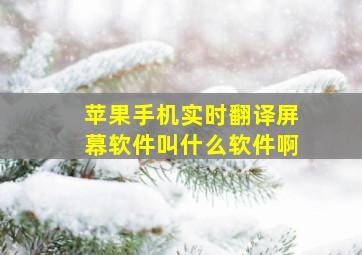 苹果手机实时翻译屏幕软件叫什么软件啊