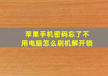 苹果手机密码忘了不用电脑怎么刷机解开锁