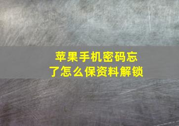 苹果手机密码忘了怎么保资料解锁