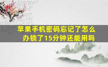 苹果手机密码忘记了怎么办锁了15分钟还能用吗