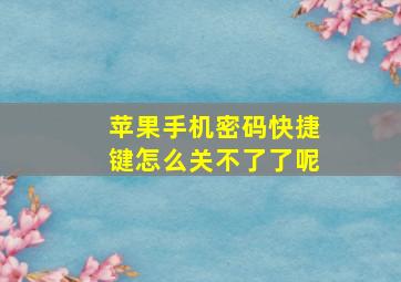 苹果手机密码快捷键怎么关不了了呢