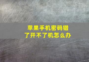 苹果手机密码错了开不了机怎么办