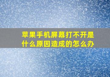 苹果手机屏幕打不开是什么原因造成的怎么办